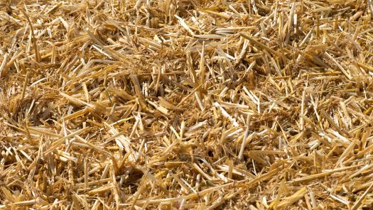 U.S. Pension Registry