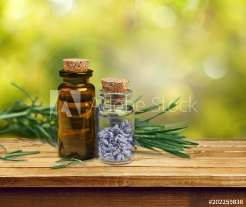 What Senior Living Providers Should Know About CBD