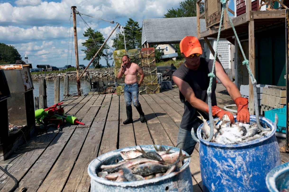 ‘This Will Be Catastrophic’: Maine Faces Elder Boom in Preview of Nation’s Future